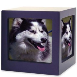 Medium Houten Photocube Dieren Urn Violet (1.5 liter)