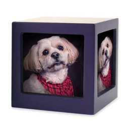 Kleine Houten Photocube Dieren Urn Violet (0.75 liter)