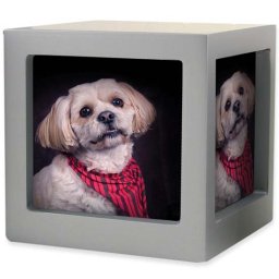 Medium Houten Photocube Dieren Urn Zilver (1.5 liter)