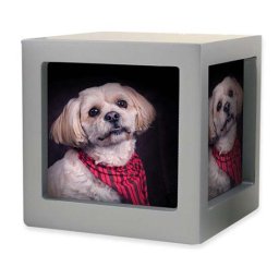Kleine Houten Photocube Dieren Urn Zilver (0.75 liter)
