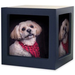 Medium Houten Photocube Dieren Urn Navy (1.5 liter)