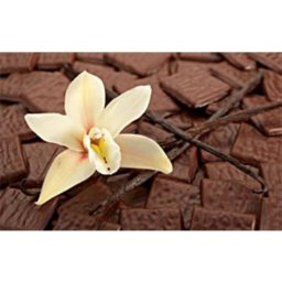 Geurolie Chocolade / Vanille