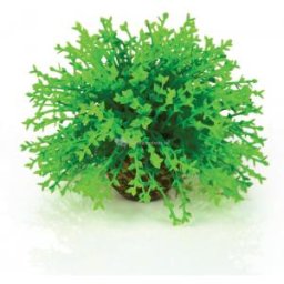 BiOrb bloemenbal groen aquarium decoratie