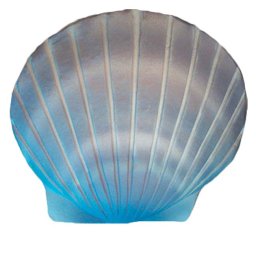 Biologisch Afbreekbare Duo Eco Urn Aqua (6.5 liter)