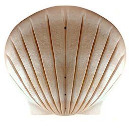 Biologisch Afbreekbare Duo Eco Urn Pearl (6.5 liter)