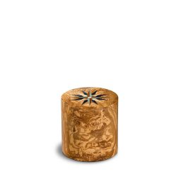 Cilinder Mini Urn Fenice Pisa Windroos Olivo (0.1 liter)