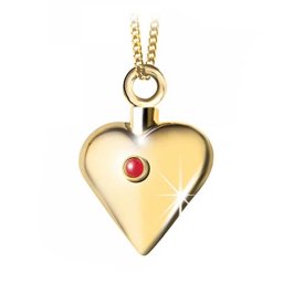 Gouden Ashanger Hart met Robijn