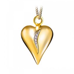 Gouden Ashanger hart met Briljant Zilver