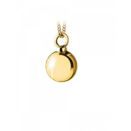 Gouden Ashanger Bal