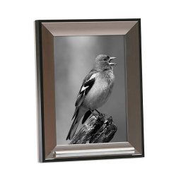 Alu-Look Dieren Fotolijst met RVS Asbuisje (0.02 liter)