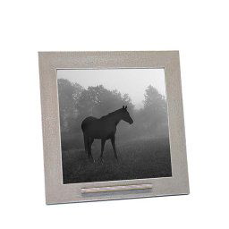 Dieren Fotolijst Oudgrijs, RVS Asbuisje (0.015 liter)