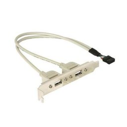 2x USB 2.0 bracket