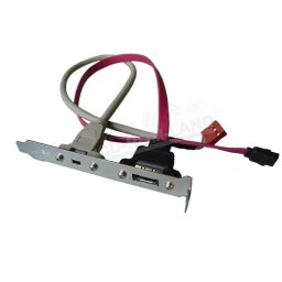 1x eSATA en 1x Firewire bracket