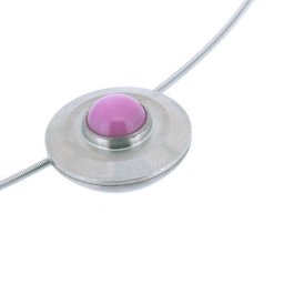 Exclusief Design Asmedaillon met Sterrobijn