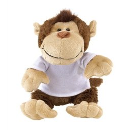 Pluche Teddybeer met sjaal