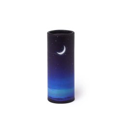 Mini Bio Eco Urn of As-strooikokertje Sterrennacht (65 gram)