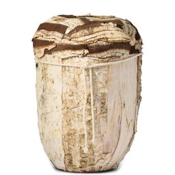 Biologisch Afbreekbare Eco Urn Berk (4 liter)