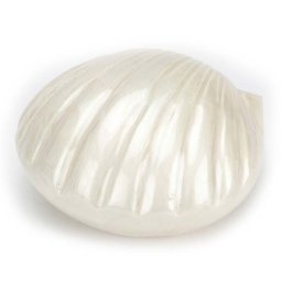 Kleine Messing Schelp Urn Pearl (0.4 liter)