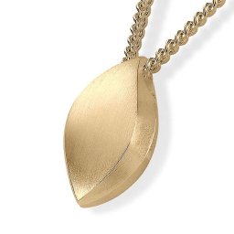 Gouden Ashanger Vlam inclusief Collier