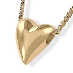 Gouden Ashanger Hartje inclusief Collier
