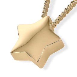 Gouden Ashanger Ster inclusief Collier
