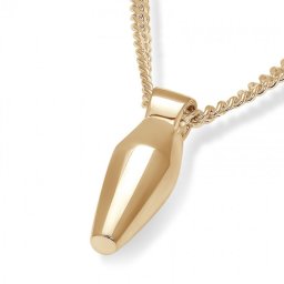 Gouden Ovalen Buisvormige Ashanger inclusief Collier