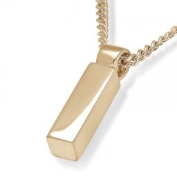 Gouden Vierkant Buisvormig Assieraad inclusief Collier