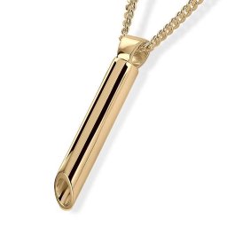Gouden Slank Buisvormig Assieraad inclusief Collier