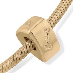 Strak Gouden Design Pet Memorial Bead Driehoek Botjes