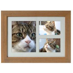 Tribute Dierenurn met Eiken of Walnoot Fotolijst (3.9 liter)