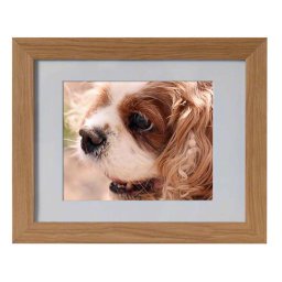 Tribute Dieren Urn met Eiken of Walnoot Fotolijst (2.6 liter)