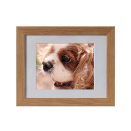 Tribute Dierenurn met Eiken of Walnoot Fotolijst (1.5 liter)