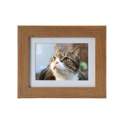 Tribute Dieren Urn met Eiken of Walnoot Fotolijst (0.95 liter)