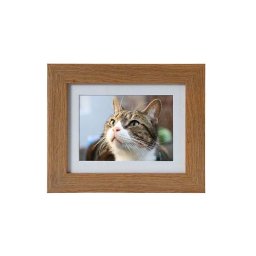 Tribute Dieren Urn met Eiken of Walnoot Fotolijst (0.55 liter)