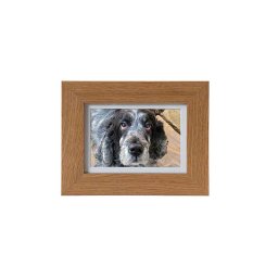 Tribute Dierenurn met Eiken of Walnoot Fotolijst (0.25 liter)