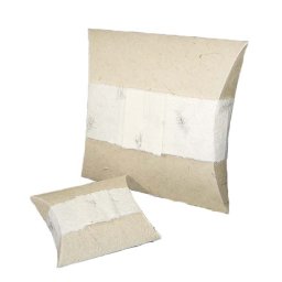 Grote Biologisch Afbreekbare Eco Urn Beige (3.6 liter)