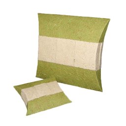 Kleine Biologisch Afbreekbare Eco Urn Groen (1 liter)