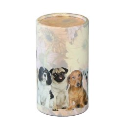 Medium Bio Dieren Urn of As-strooikoker Honden (0.7 liter)
