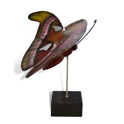Grote Houten Asvlinder Atlas (0.003 liter)
