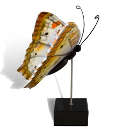 Grote Houten Asvlinder White Peacock (0.003 liter)