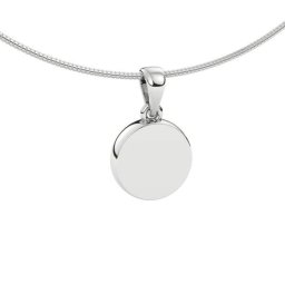 Ashanger Disk Witgoud