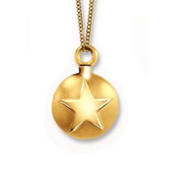 Ashanger Gouden Bol met Ster