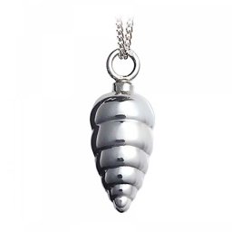 Kleine Zilveren Ashanger Schelp