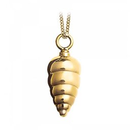 Kleine Gouden Ashanger Schelp