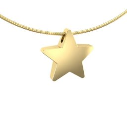 Ashanger Gouden Ster