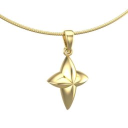 Gouden Ashanger Ster