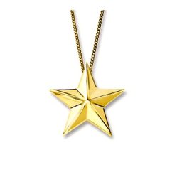 Ashanger Klein Sterretje Goud