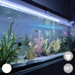 10 t/m 50 cm helder wit complete set aquarium led strip
