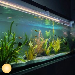 70 t/m 100 cm aquarium led strip warm wit