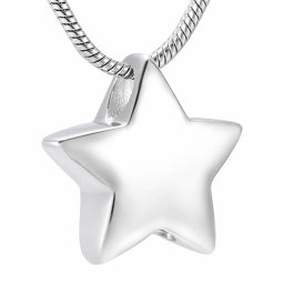 RVS Ashanger Lief Sterretje, inclusief Slangencollier